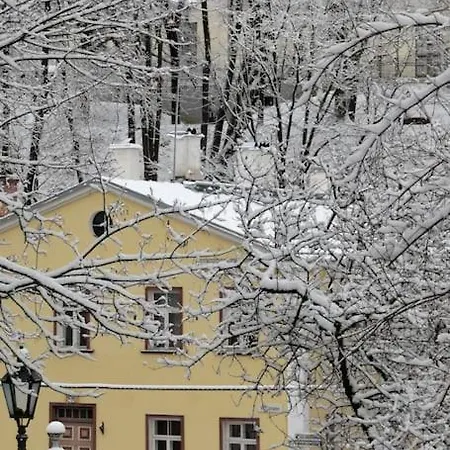 Amazing In Heart Of Tartu