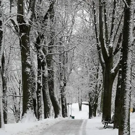 Amazing In Heart Of *