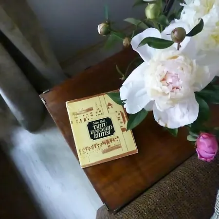 Apartment Amazing In Heart Of *