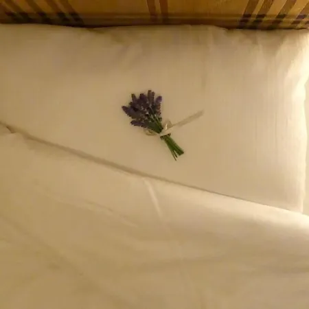 Amazing In Heart Of アパート タルトゥ