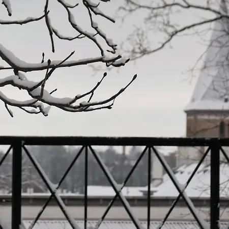Amazing In Heart Of * Tartu