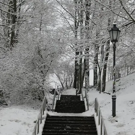 Amazing In Heart Of アパート