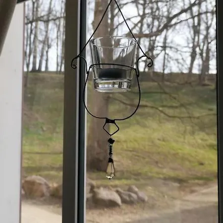 Amazing In Heart Of アパート タルトゥ