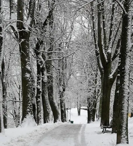 Amazing In Heart Of *