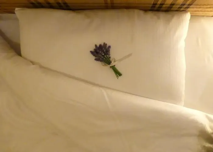 Amazing In Heart Of Apartment Tartu